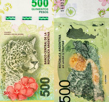 Arjantin 'den bir jaguar, 500 peso 2016 Banknotları.