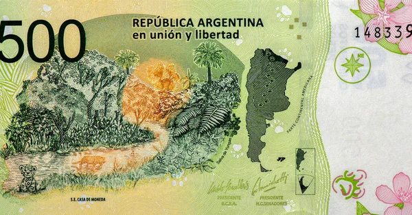 Egy Jaguár Kölyök Felnőtt Fut Erdőben Portré Argentínából 500 Pesos — Stock Fotó
