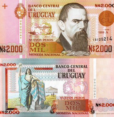 Juan Manuel Blanes, Realist okulun ünlü Uruguaylı ressamıydı. Uruguay 'dan Portre 2000 Nuevos Pesos 1989 Banknotları.