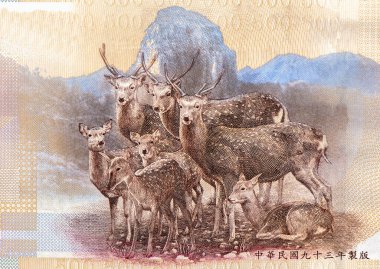 Sika sürüsü geyiği, Dabajian Dağı ile birlikte, Tayvan 'dan 500 Dolarlık portre 2001 Banknotları. 