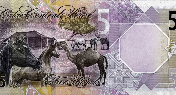 Katari Riyal Bankjegy Riyal Katar Nemzeti Valutája — Stock Fotó