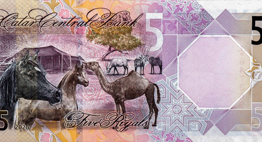 5 billete de banco riyal qatarí. Riyal es la moneda nacional de Qatar. 2023