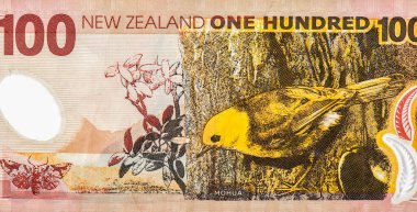 Sarı başlı / mohua, Yeni Zelanda yerli kara kuşları. Yeni Zelanda 'dan Portre 100 Dolar 1999 Banknotları.