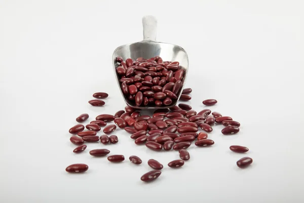 Red kidney beans with scoop — Stock Photo, Image