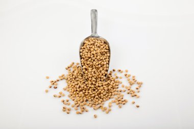 Soya fasulyesi ve transfer Kepçe