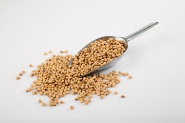 Soya fasulyesi ve transfer Kepçe