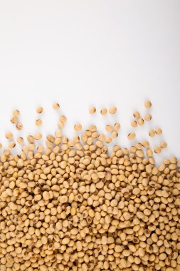 Soya fasulyesi kopya alanı ile