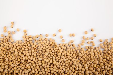 Soya fasulyesi kopya alanı ile