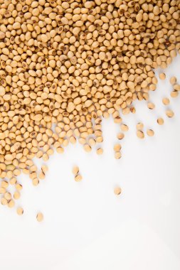 Soya fasulyesi kopya alanı ile