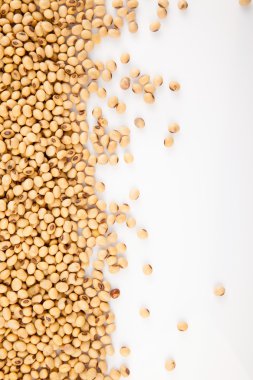 Soya fasulyesi kopya alanı ile