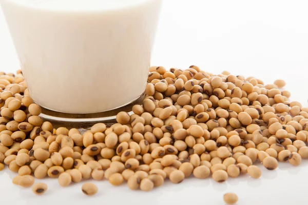 Soy milk in glass with soybeans — Stock Photo, Image