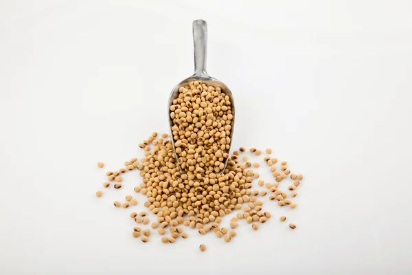 Soybeans and  transfer scoop — Stock Photo, Image