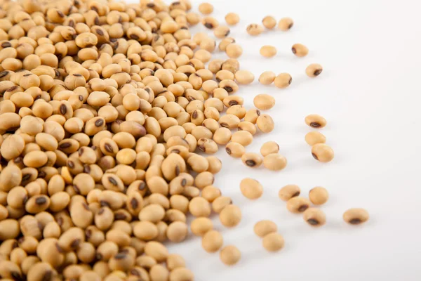 Soybeans with copy space — Stock Photo, Image