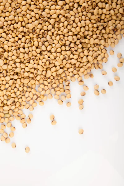 Soybeans with copy space — Stock Photo, Image