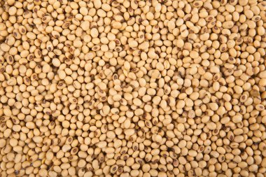 Arka plan olarak soya