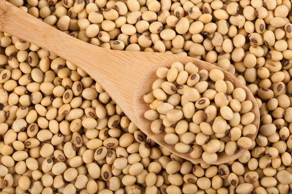 Soybeans with wooden spoon — Stock Photo, Image