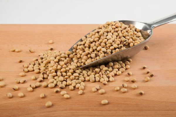 Soybeans and  transfer scoop — Stock Photo, Image