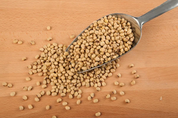 Soybeans and  transfer scoop — Stock Photo, Image