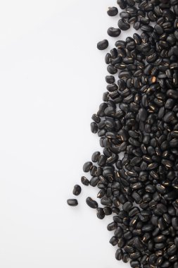 Beyaz kopya alanı ile siyah fasulye