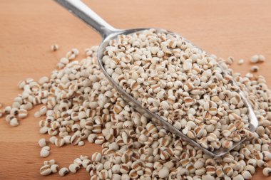 İş'ın gözyaşları transfer kepçe ile