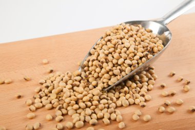 Soya fasulyesi ve transfer Kepçe