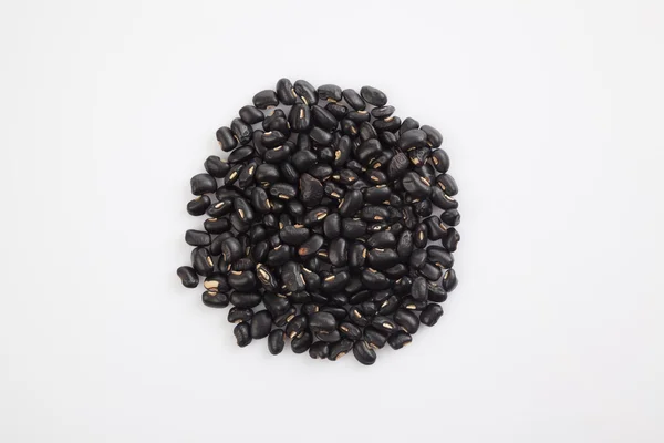 Kacang hitam — Stok Foto