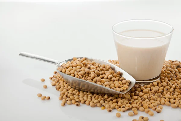 Soy milk in glass with soybeans and  transfer scoop — Stock Photo, Image