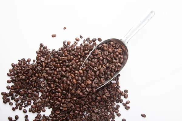 Rostade kaffebönor med överföring scoop — Stockfoto