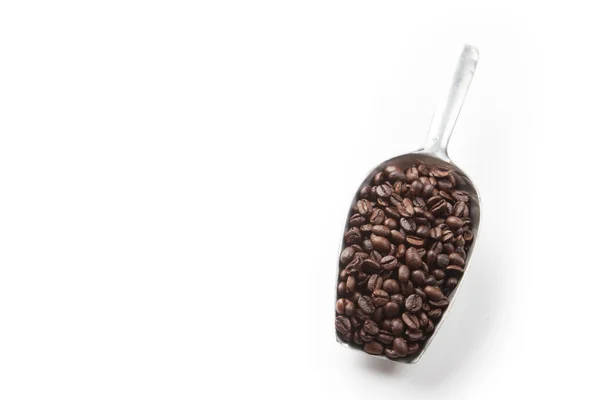 Roasted coffee beans with transfer scoop — Stock Photo, Image