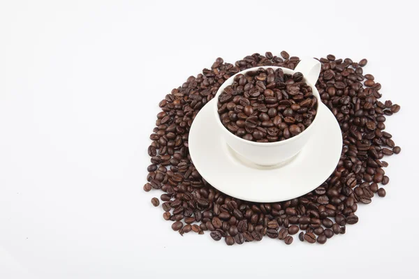 Roasted coffee beans with a cup — Stock Photo, Image