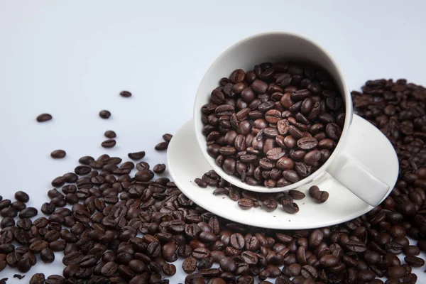 Rostade kaffebönor med en kopp — Stockfoto