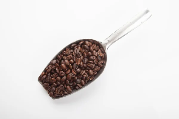 Gebrande koffiebonen met overdracht scoop Stockafbeelding