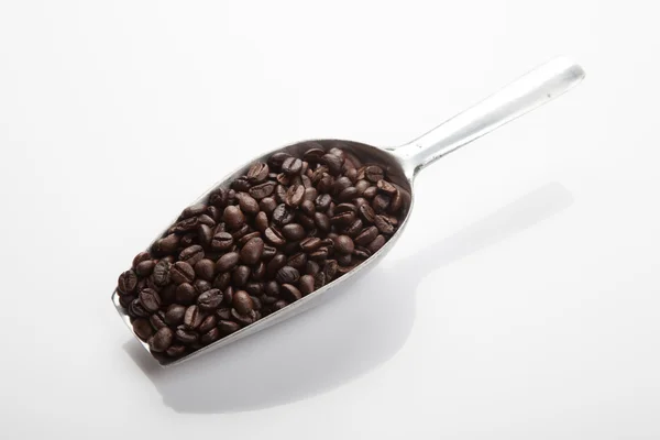 Roasted coffee beans with transfer scoop — Stock Photo, Image