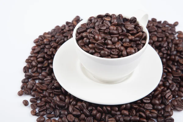 Rostade kaffebönor med en kopp — Stockfoto