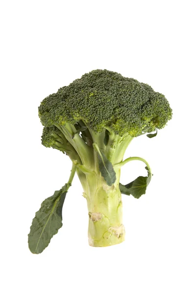 Brócoli fresco —  Fotos de Stock