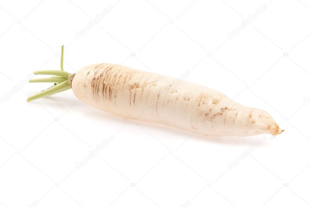 Fresh chinese radish