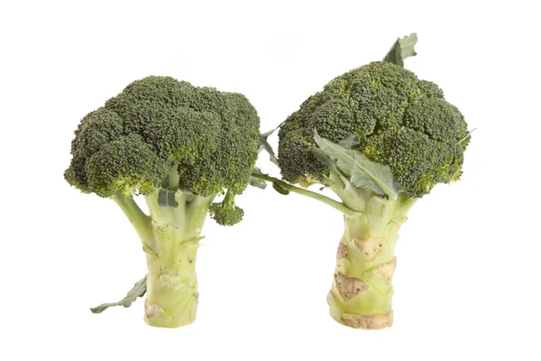 Verse broccoli — Stockfoto