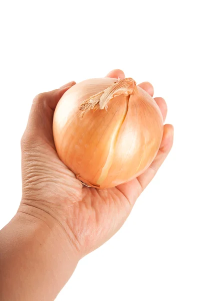 Bir elinde soğan — Stok fotoğraf