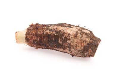 Taro kök beyaz zemin üzerine