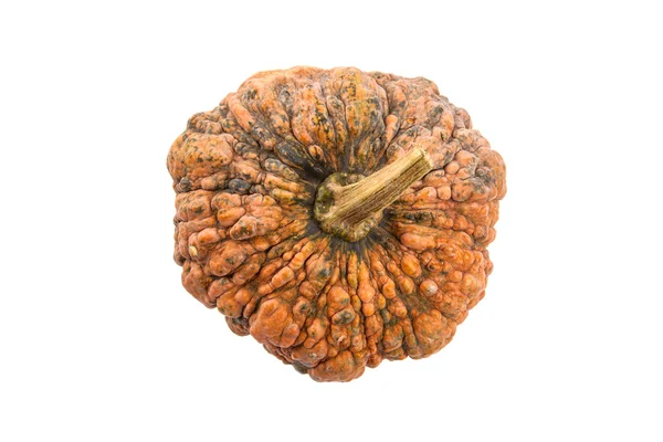 Abóbora laranja madura no fundo branco — Fotografia de Stock