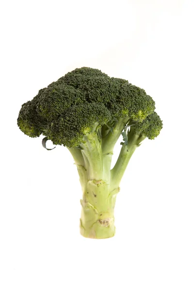 Verse broccoli — Stockfoto