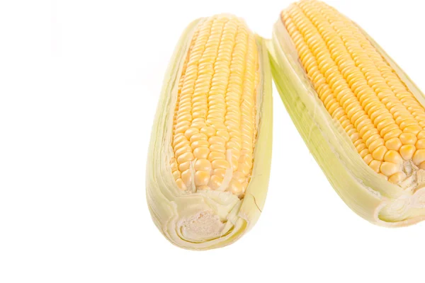 Sweetcorn on white background — Stock Photo, Image