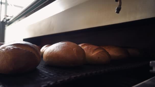 Automated Output Finished Bread Oven — Stock Video