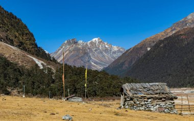 Sikkim Hindistan 'daki çiçek vadisinde önünde Tibet bayrakları olan taşlardan yapılmış bir barakanın seçici odak noktası.