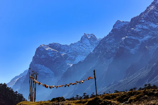 チベットの祈りのフラグは 背景に高い山の範囲で風で吹いて太陽とシキムインドの花の谷で点灯 — ストック写真