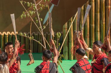 Selective focus image of a group of naga tribesmen dressed in their traditional attire celebrating a victory by lifting their weapons in Kisama village Nagaland India on 4 December 2016