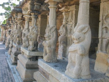 Hindu tapınaklarının duvarlarına oyulmuş hayvan şekilli heykellerin seçici odak noktası.