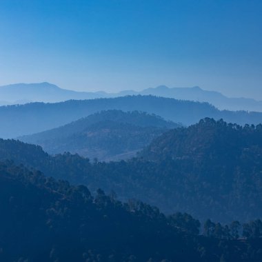 Ağaçlı, sisli ve berrak mavi gökyüzü