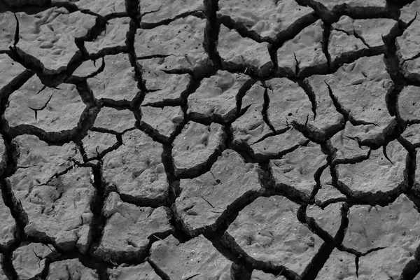 Dry Piece Land Cracks Due Drought — Stockfoto