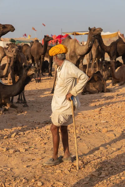 2018年11月19日 インド ラジャスタン州プシュカルで開催されたプシュカル ラクダ祭りでラクダの取引業者 — ストック写真